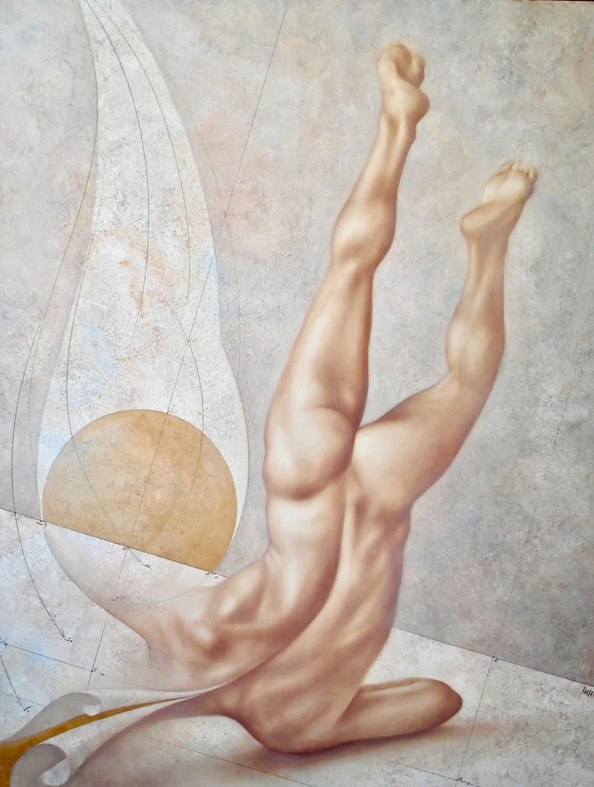 Image galerie