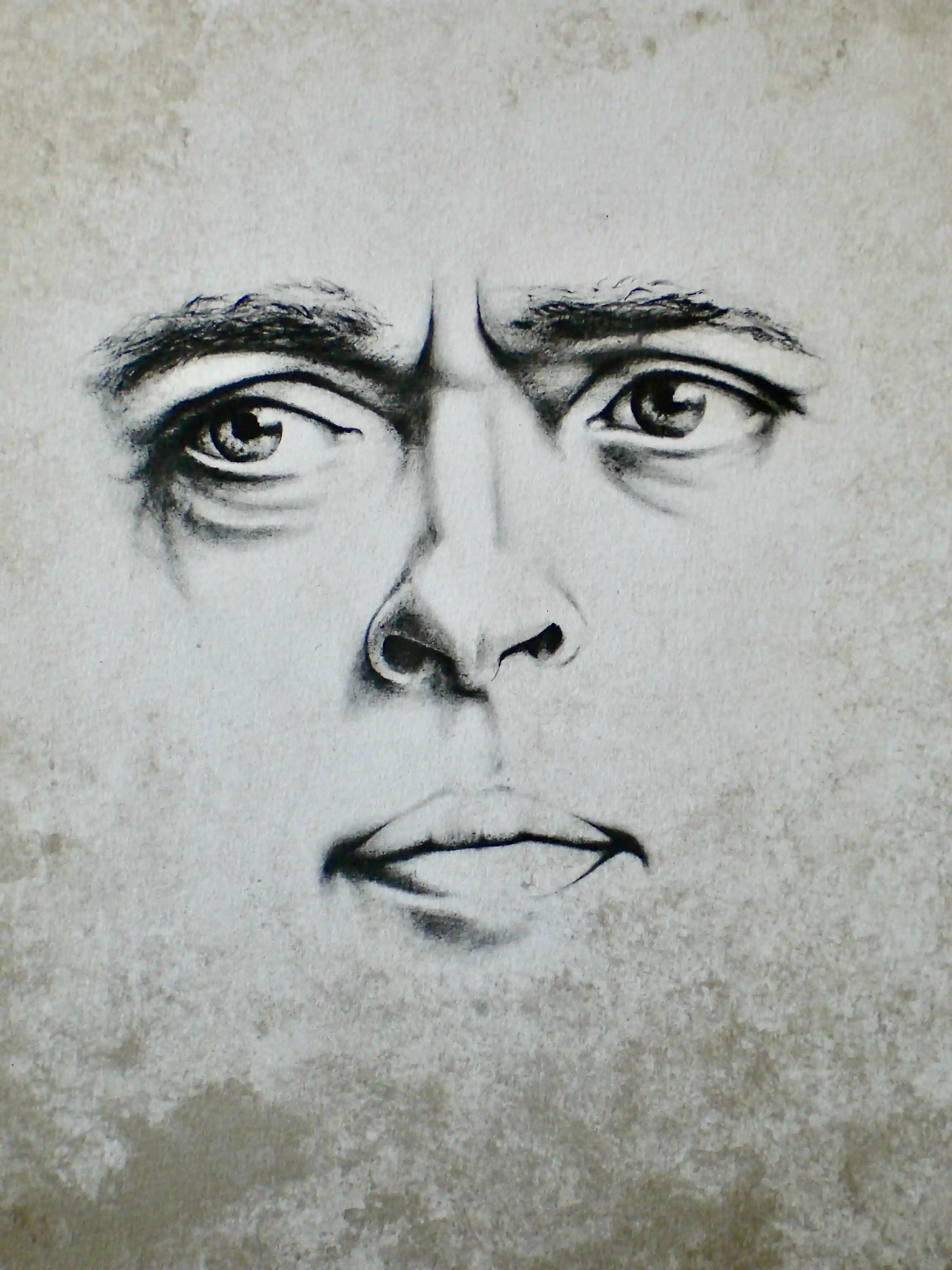 Image galerie