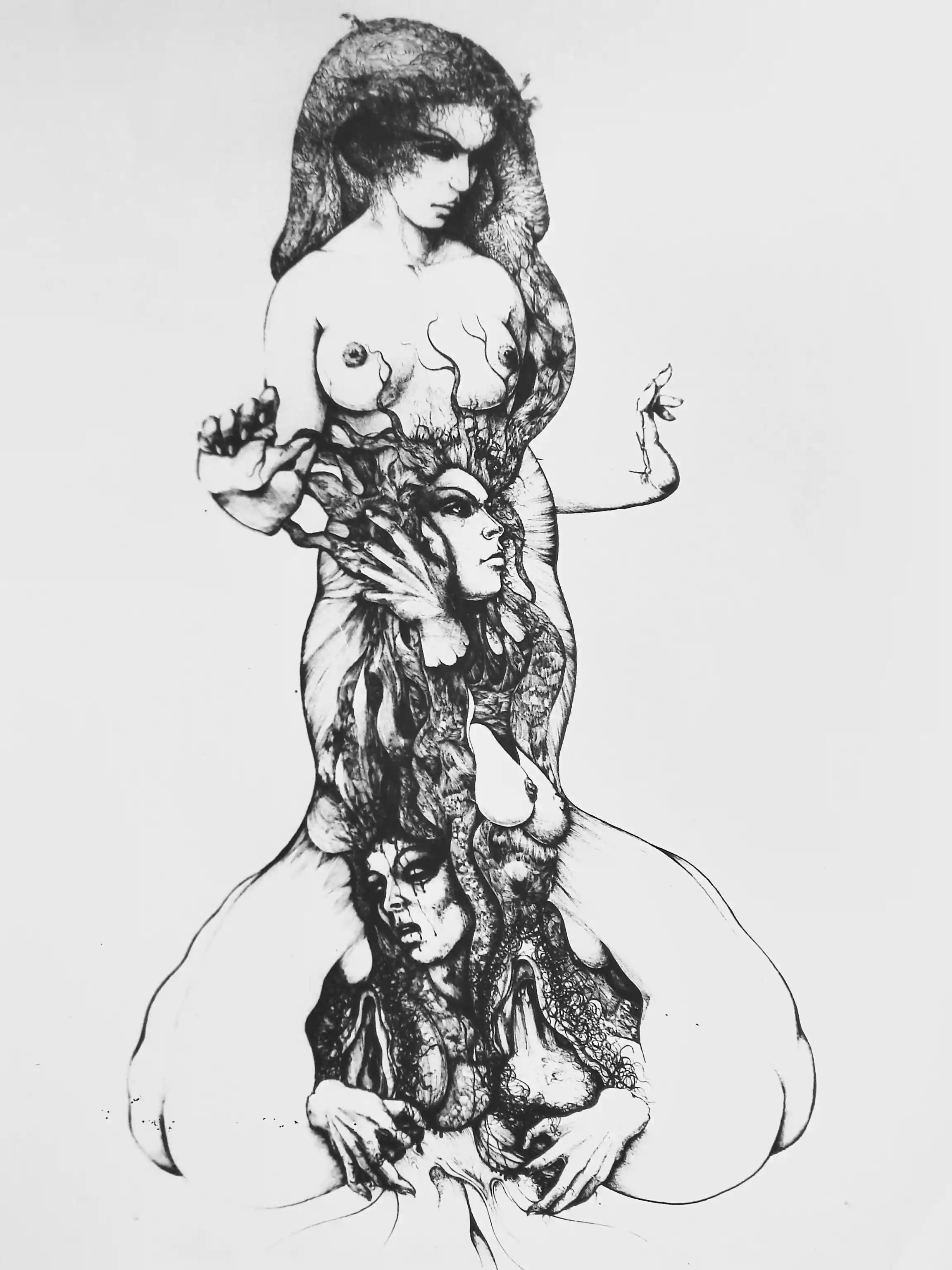 Image galerie