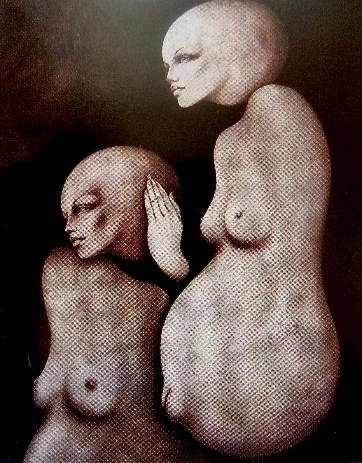 Image galerie
