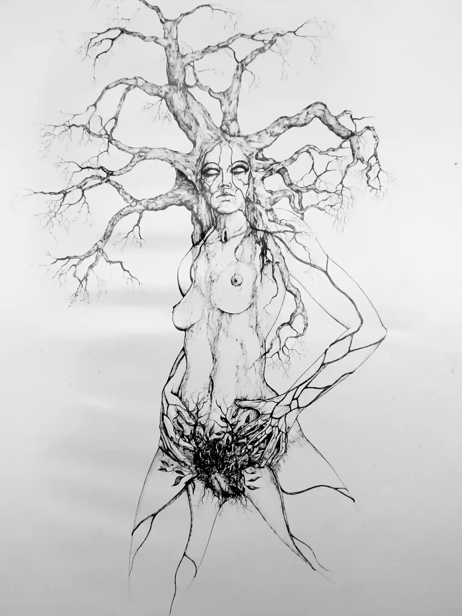Image galerie