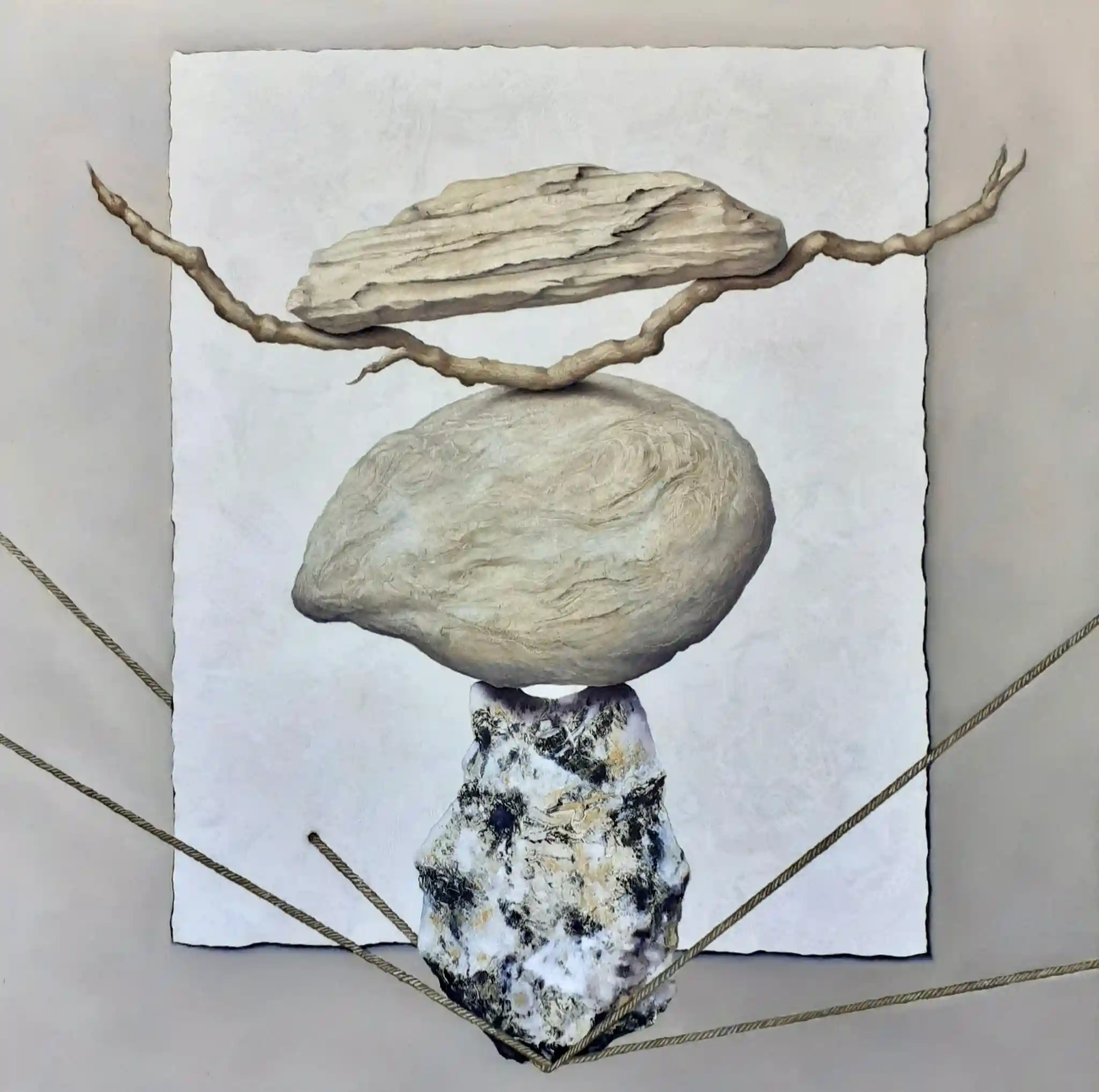Image galerie