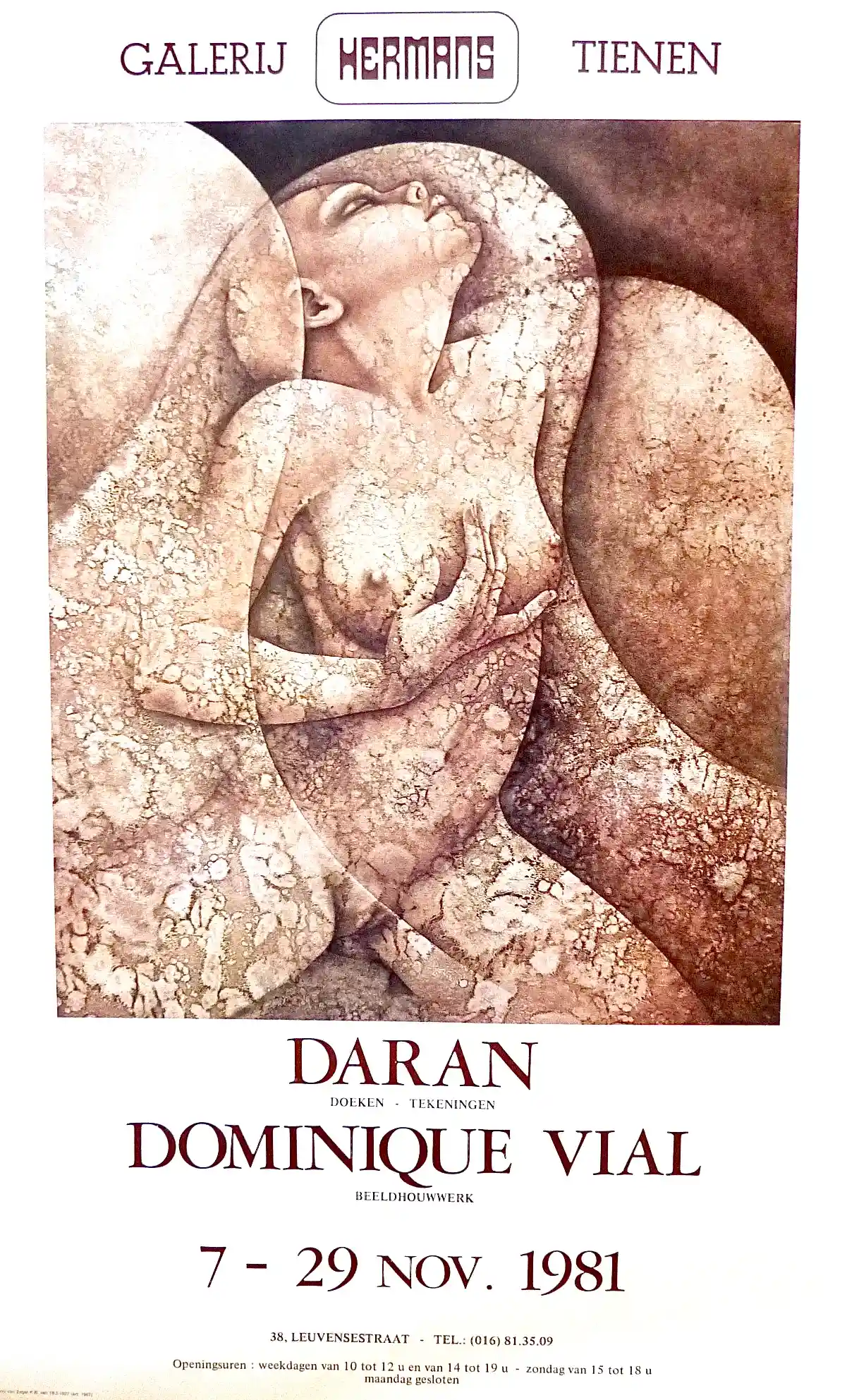 Image galerie